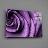 Purple Rose Glass Wall Art