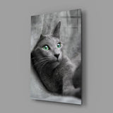 Cat Glass Wall Art