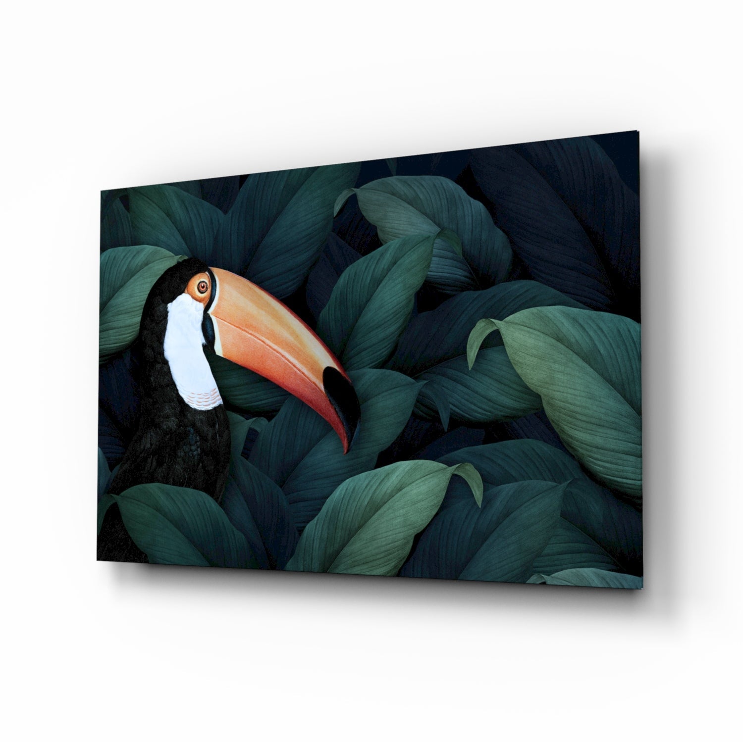 Toucan Parrot Glass Wall Art