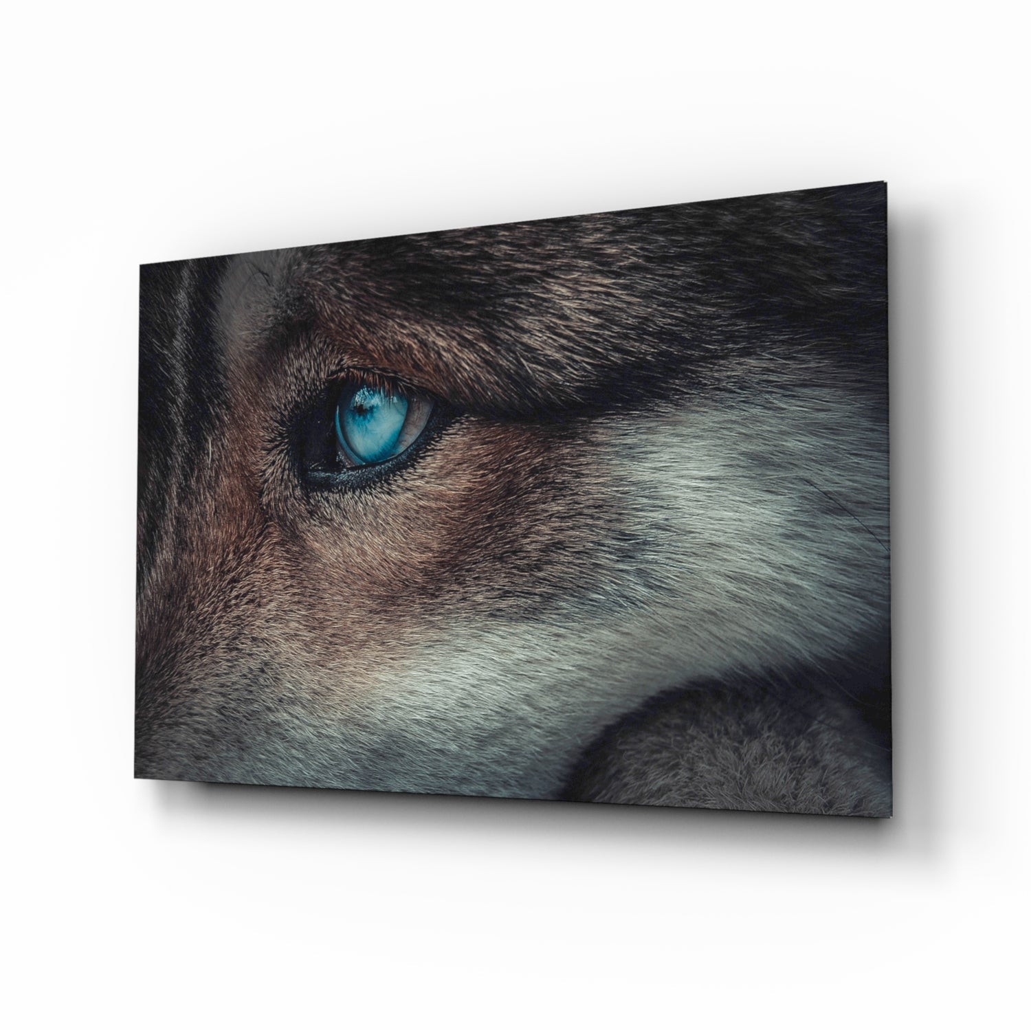 Wolf's Eye Glass Wall Art