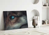 Wolf's Eye Glass Wall Art