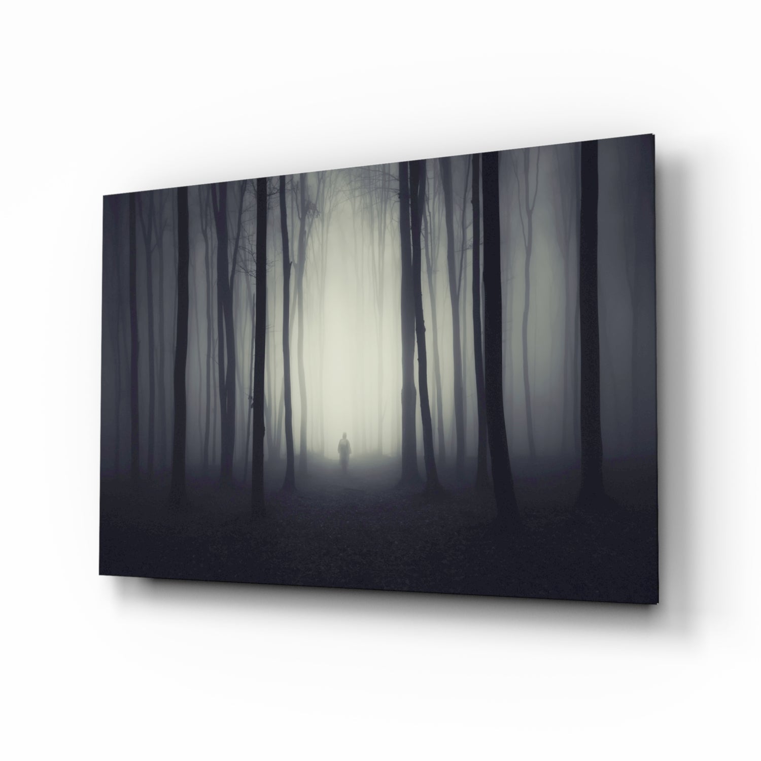 Foggy Forest Glass Wall Art