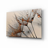 Cinnamon Dandelion Glass Wall Art