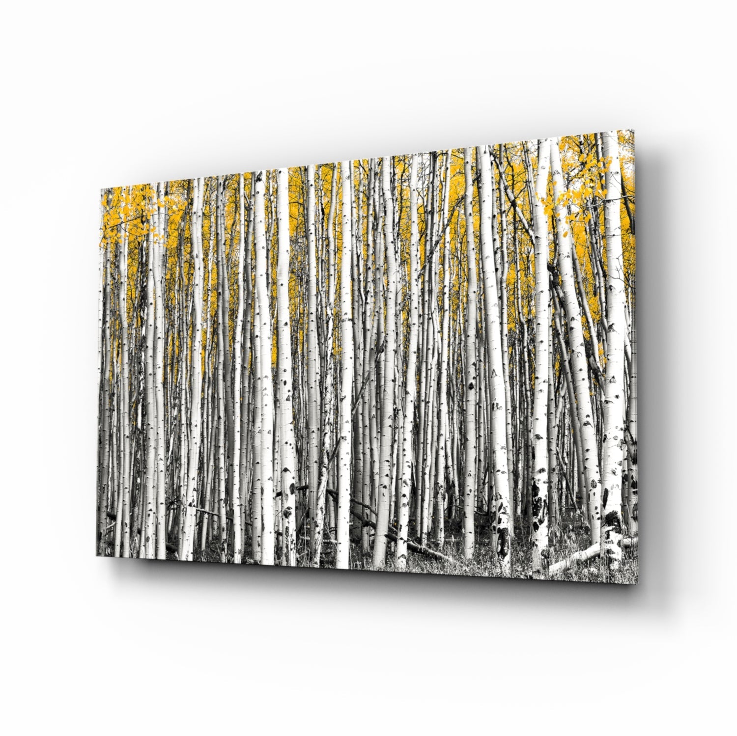 Yellow Forest Glass Wall Art