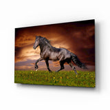 Nobility of Horse Glass Wall Art