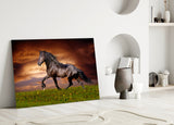 Nobility of Horse Glass Wall Art