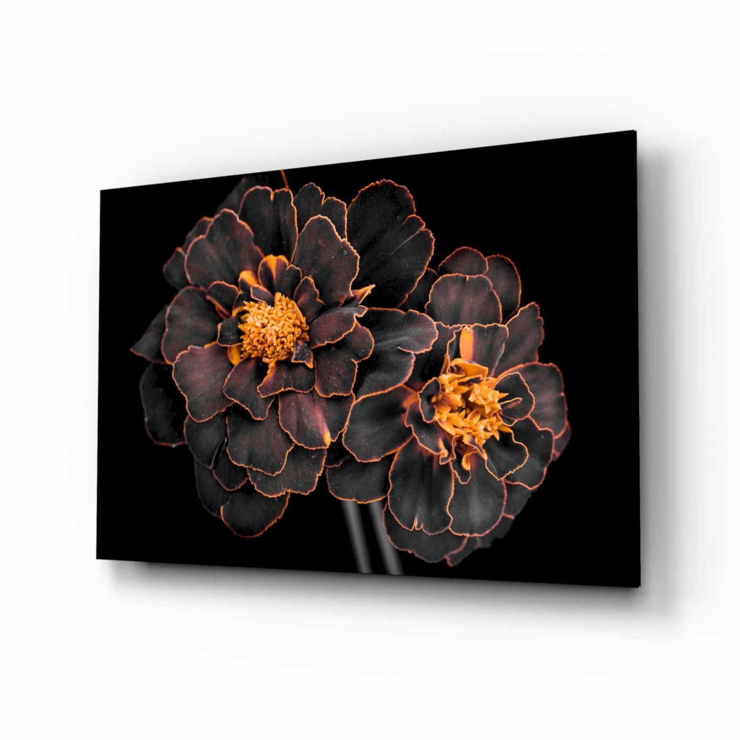 Brown Flower Glass Wall Art