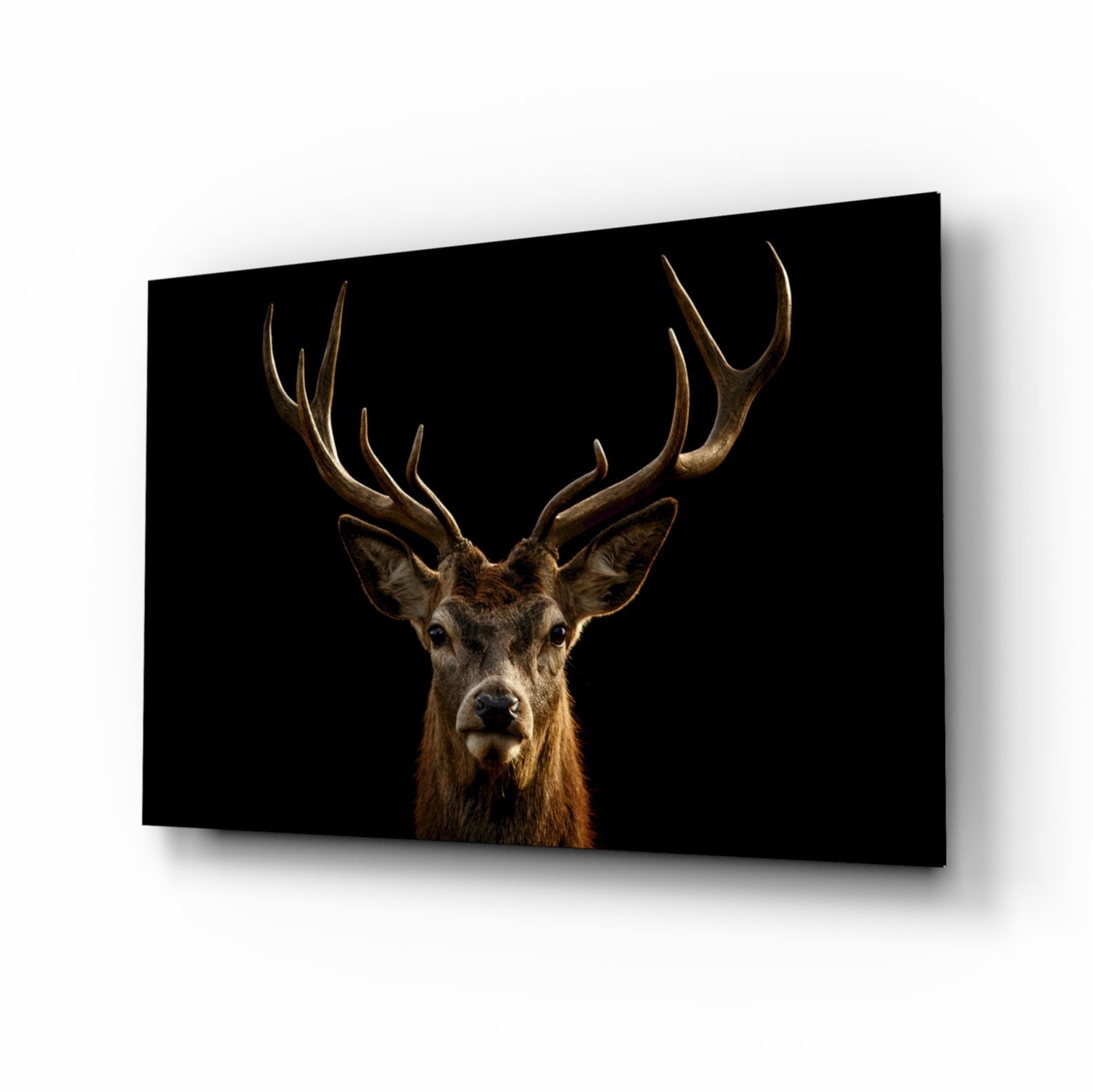 Deer Glass Wall Art