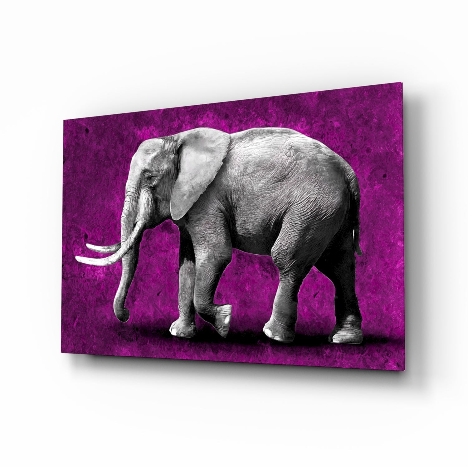 Elephant Glass Wall Art