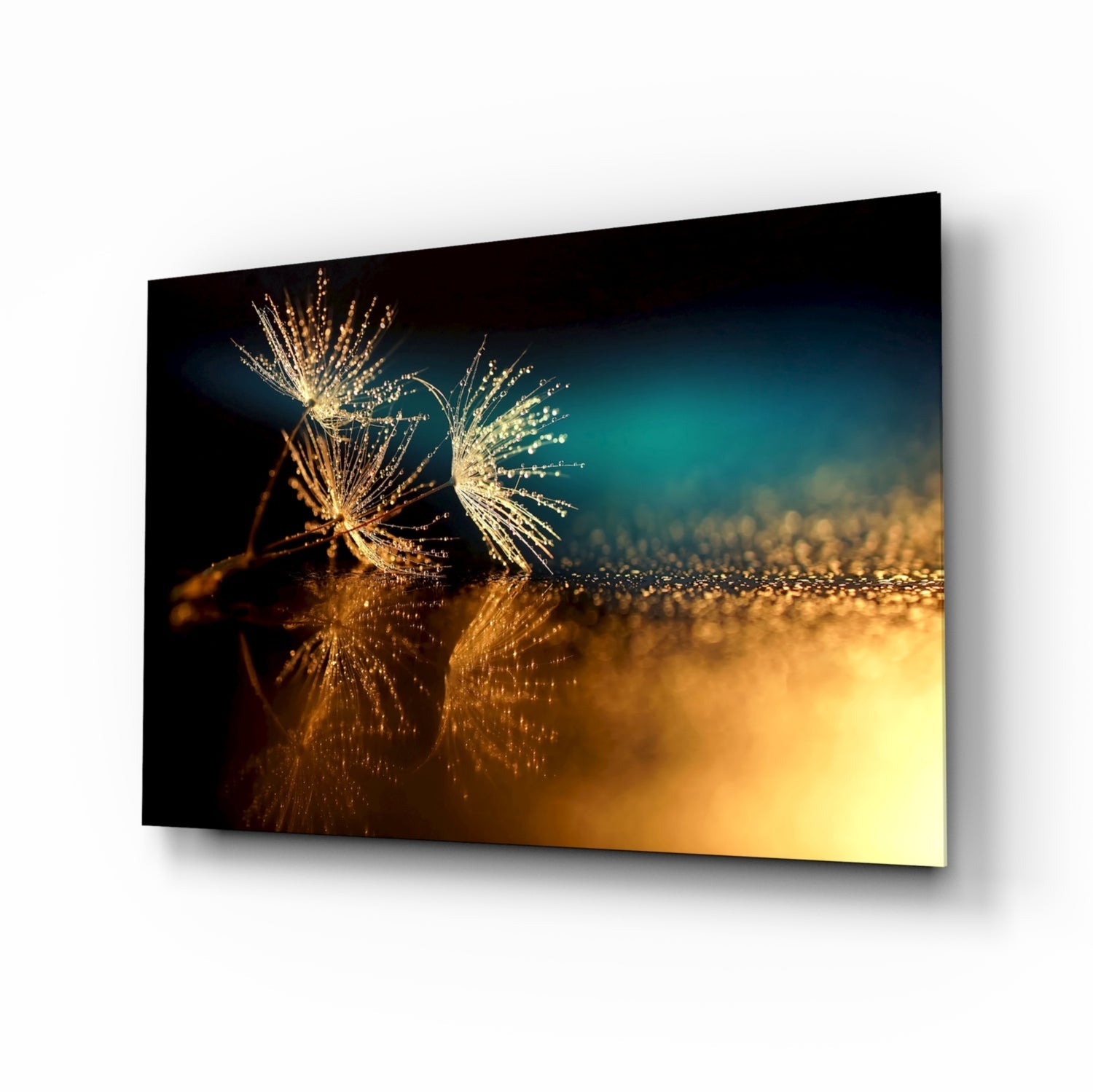 Dandelion Glass Wall Art