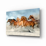 Horses Glass Wall Art