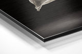 Brushed Aluminium Dibond Wall Art