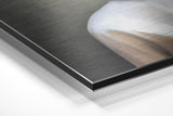 Brushed Aluminium Dibond Wall Art