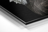 Brushed Aluminium Dibond Wall Art