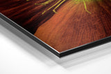 Brushed Aluminium Dibond Wall Art