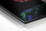 Brushed Aluminium Dibond Wall Art