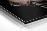 Brushed Aluminium Dibond Wall Art