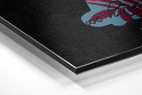 Brushed Aluminium Dibond Wall Art