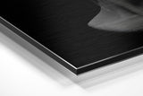 Brushed Aluminium Dibond Wall Art