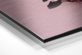 Brushed Aluminium Dibond Wall Art