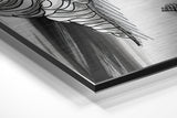 Brushed Aluminium Dibond Wall Art