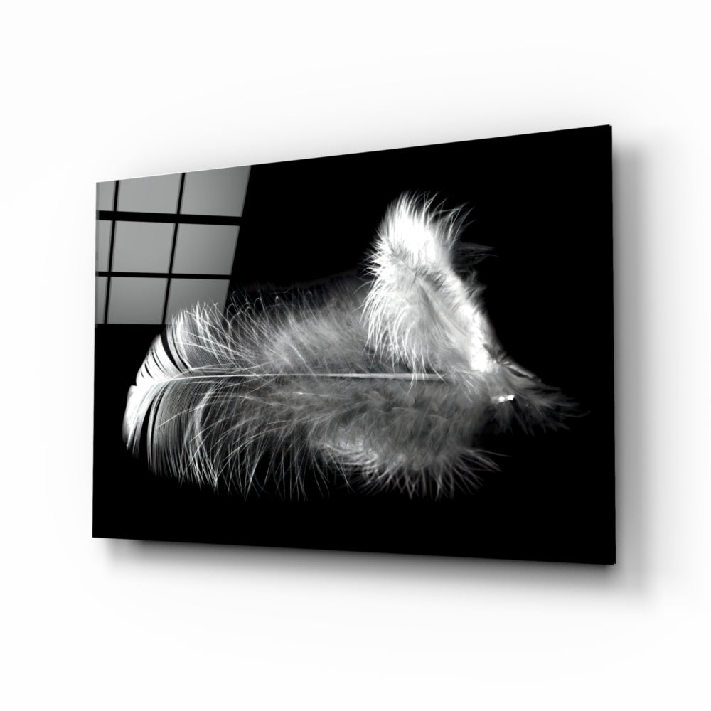 Feather Glass Wall Art | insigneart.co.uk