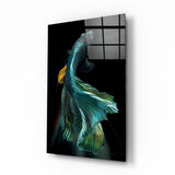 Fish Glass Wall Art | insigneart.co.uk