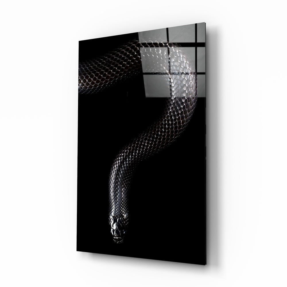 Snake Glass Wall Art | insigneart.co.uk
