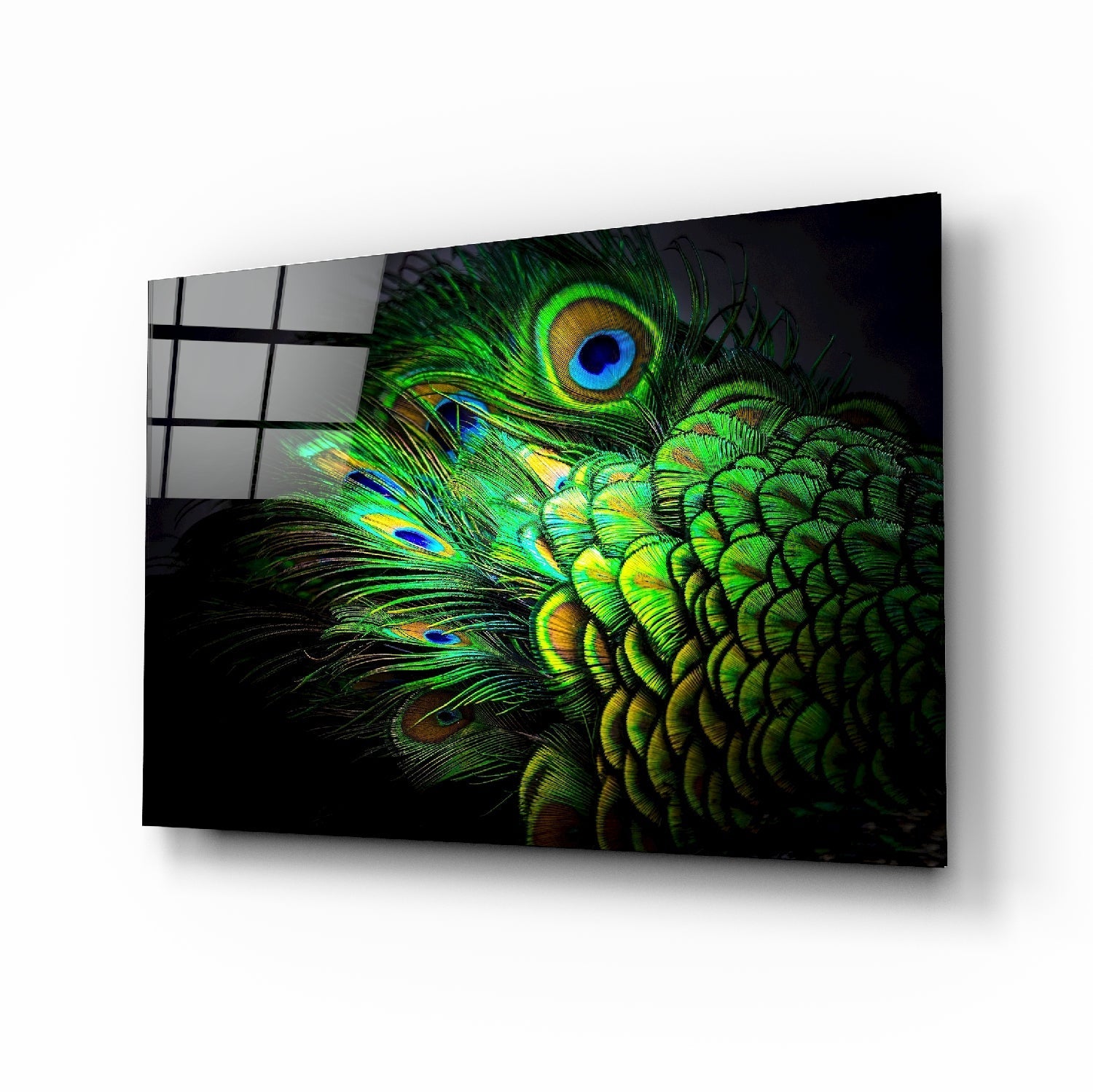Peacock Glass Art | insigneart.co.uk