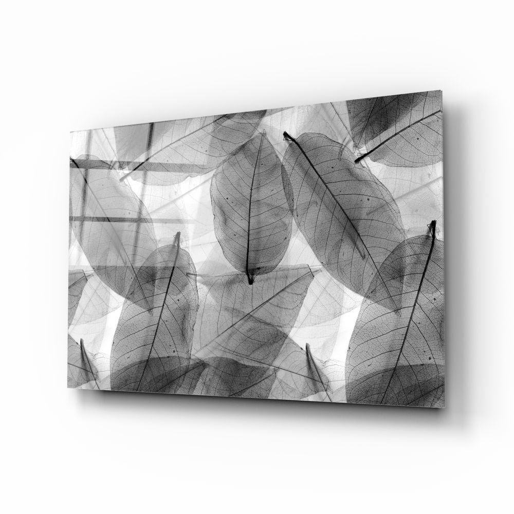 Black - White Leaves Glass Wall Art | insigneart.co.uk