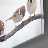 Birds Glass Wall Art | insigneart.co.uk