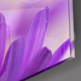 Flower Glass Wall Art | insigneart.co.uk