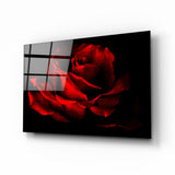 Red Rose Glass Wall Art | insigneart.co.uk