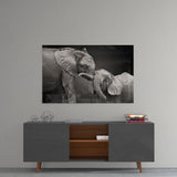 Elephants Glass Wall Art | insigneart.co.uk