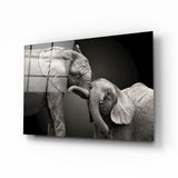 Elephants Glass Wall Art | insigneart.co.uk