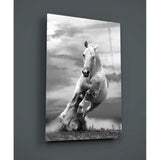 Running Horse Glass Wall Art | insigneart.co.uk