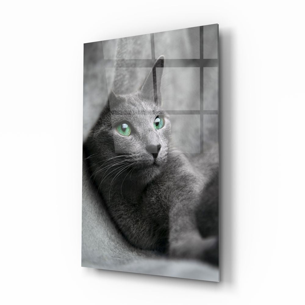 Cat Glass Wall Art | insigneart.co.uk | Unique Designs