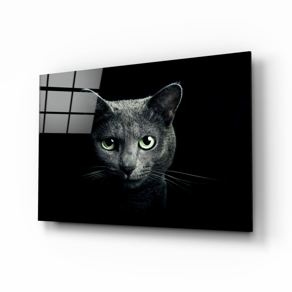 Cat Glass Wall Art – insigneart.co.uk