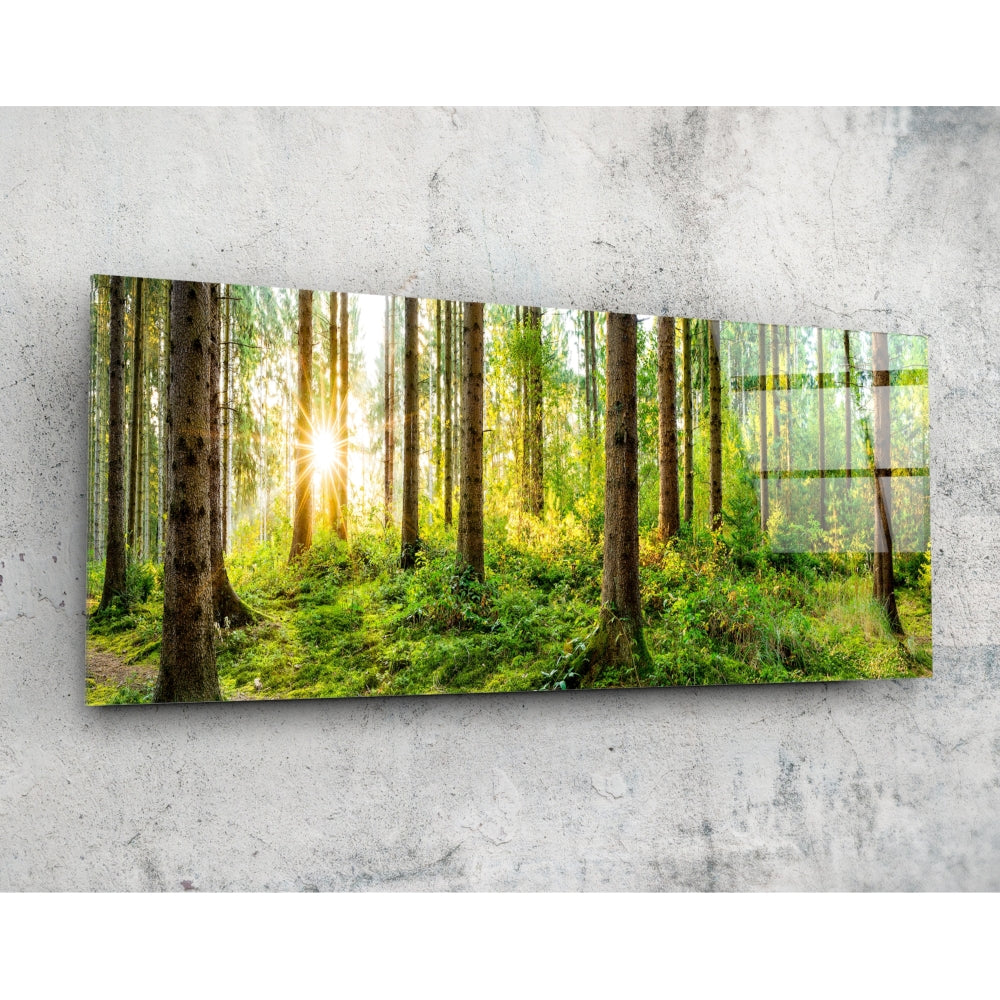 Forest Glass Wall Art (92x36 cm)